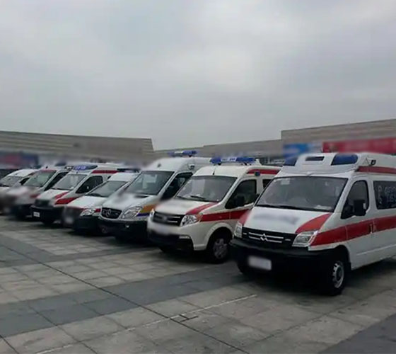 若羌县服务车队展示